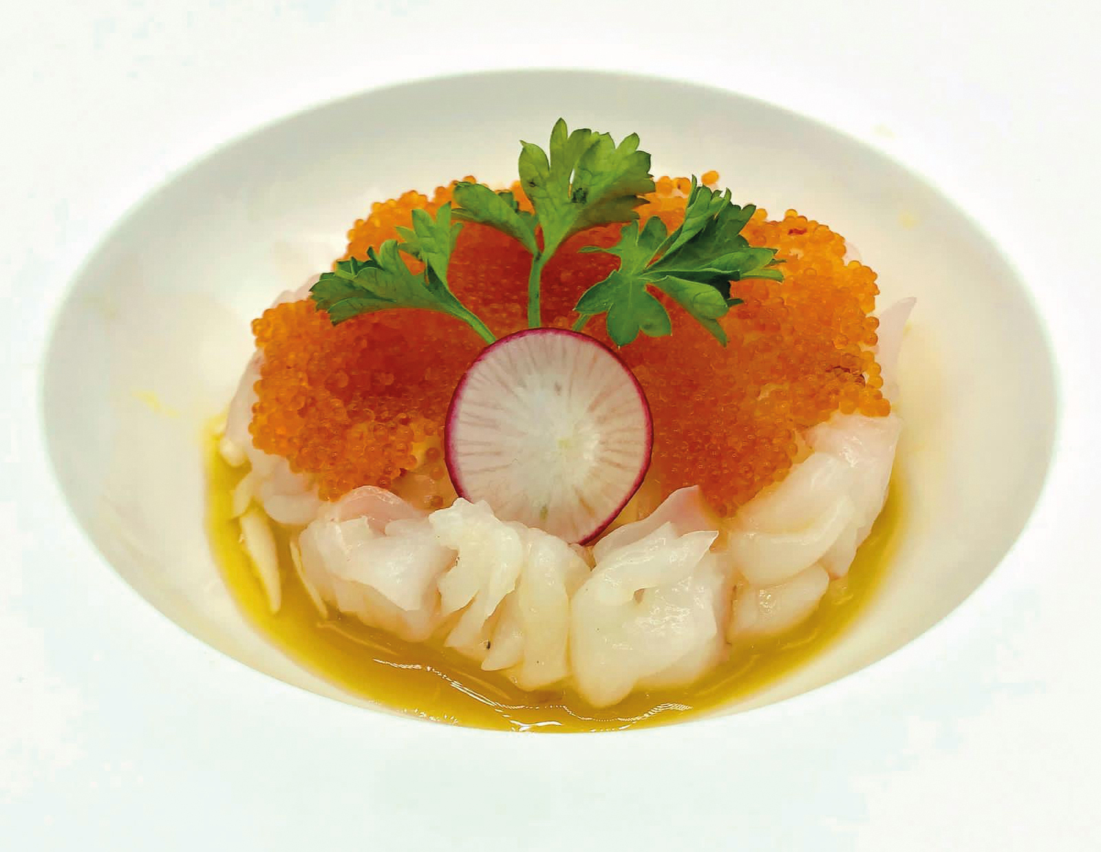 126a / Tartare amaebi